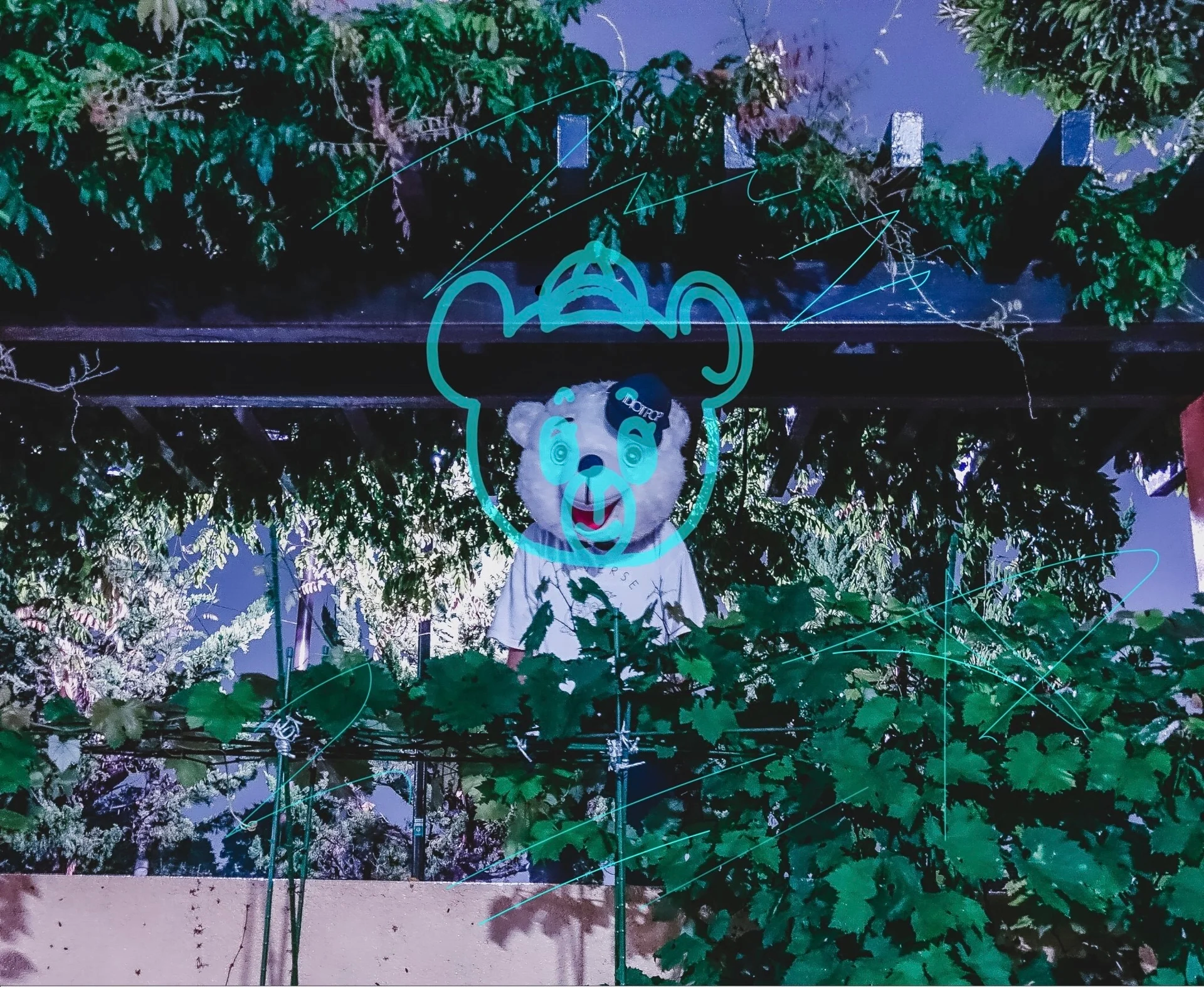 Idiot Pop w dużym niedźwiedzim hełmie w nocnym, zewnętrznym otoczeniu