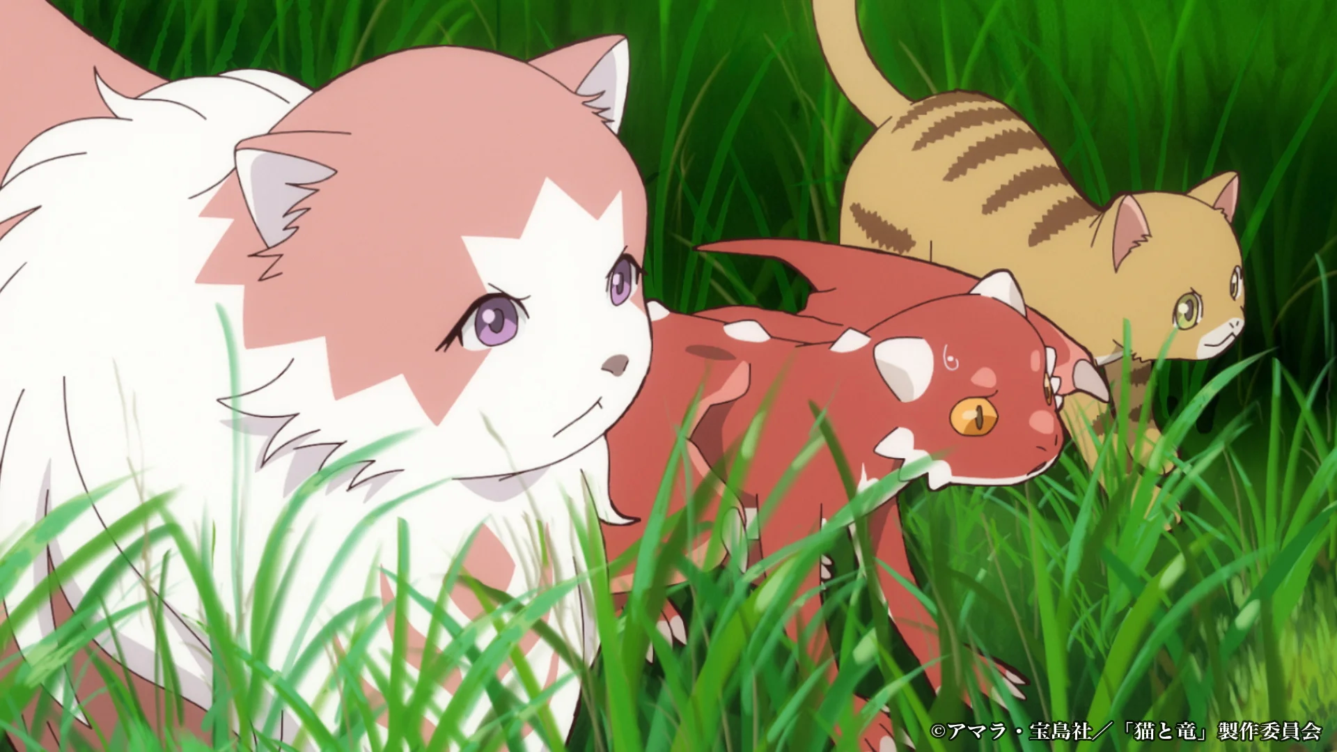 An anime scene featuring a pink and white cat, a red dragon, and a striped cat in tall green grass.
