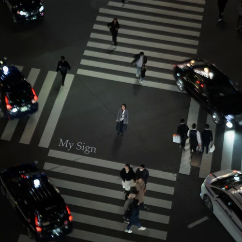 Vista aèria d’una persona en un pas de vianants de nit amb text My Sign