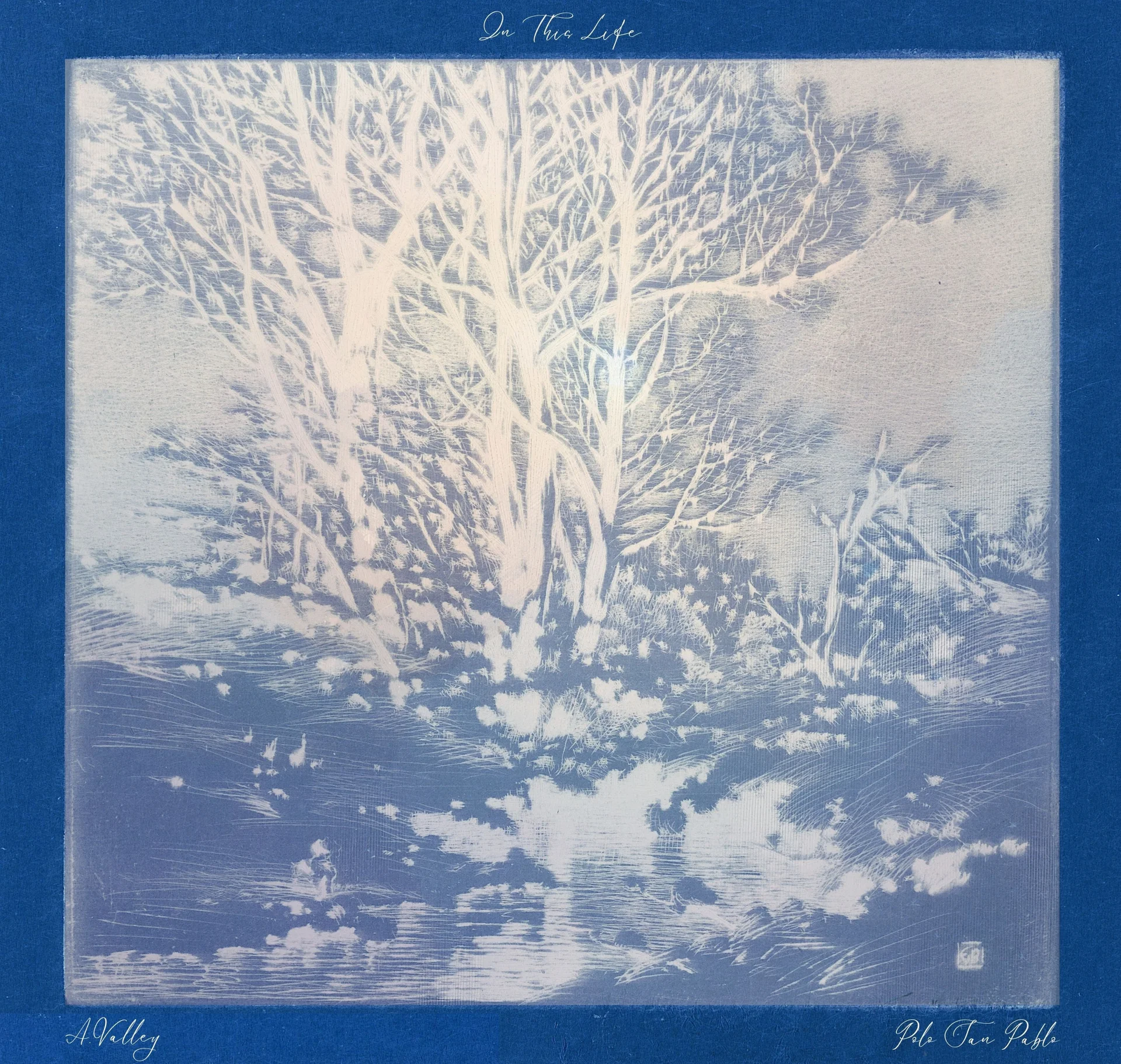 Album cover with an artistic depiction of trees in pastel tones within a blue border.