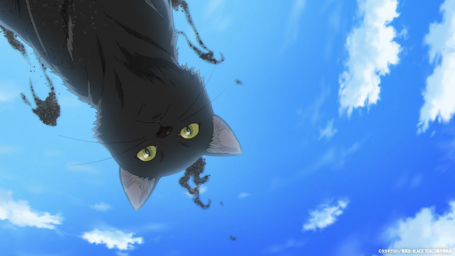 Bakar kyanwa mai idanu rawaya a kan sama mai shuɗi a cikin salon anime.