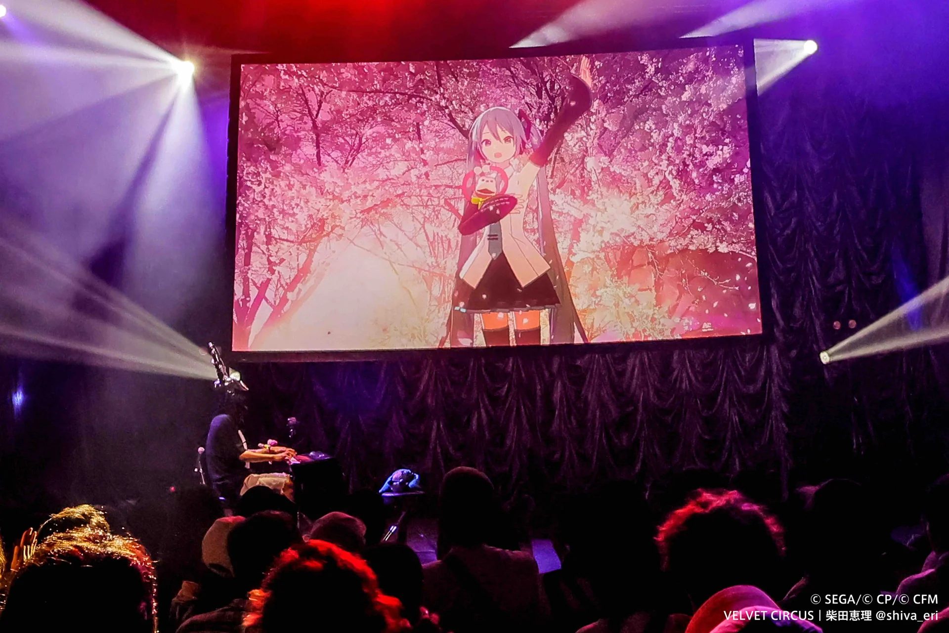 Konsertpoadium mei in digitaal skerm dat Hatsune Miku ûnder sakurabylden toant