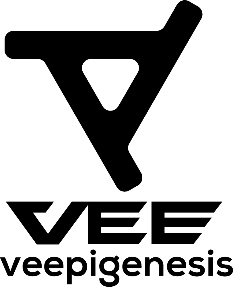 Logo projek VEE