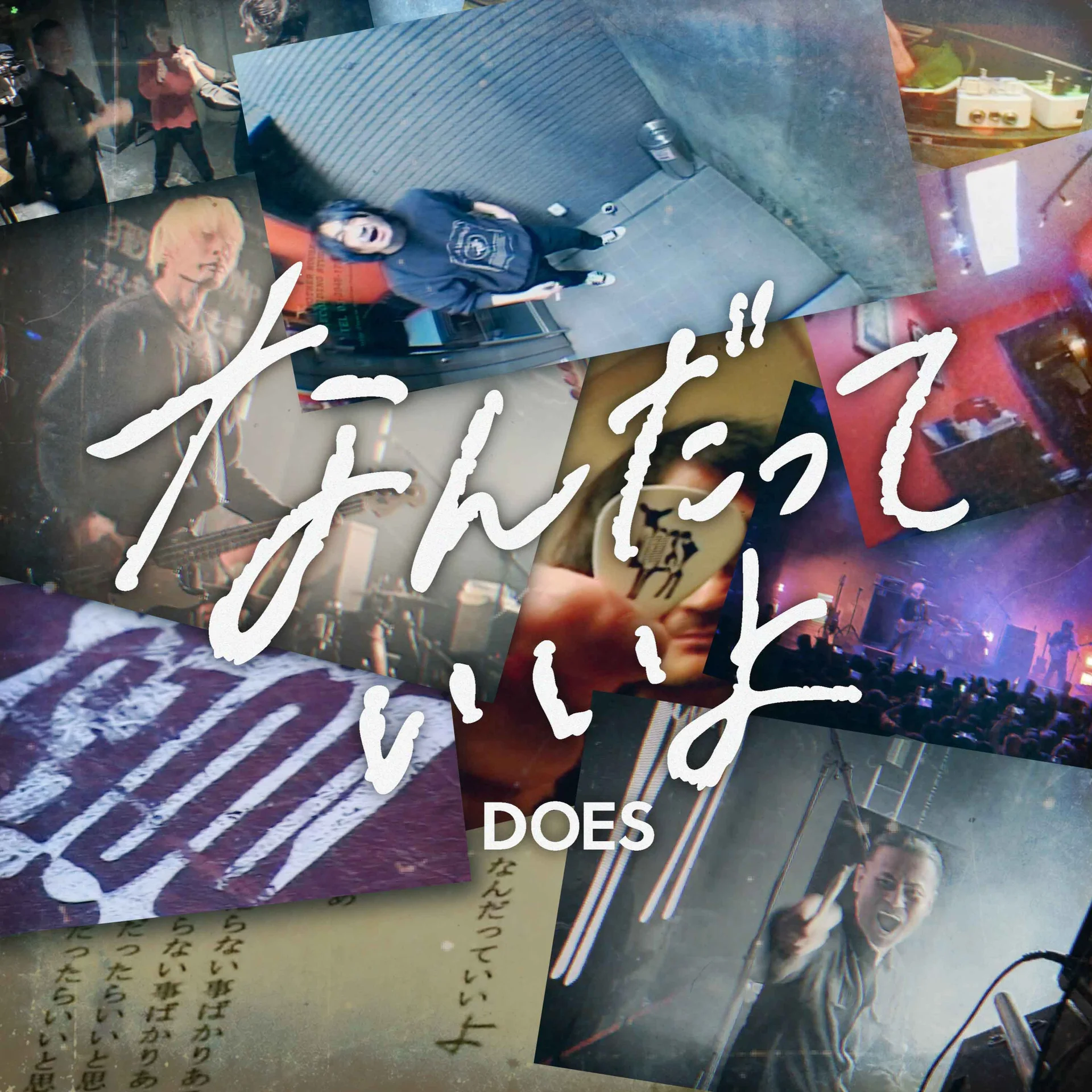 DOES live performance collage